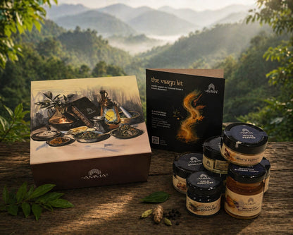 Vaayu Kit