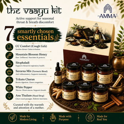 Vaayu Kit